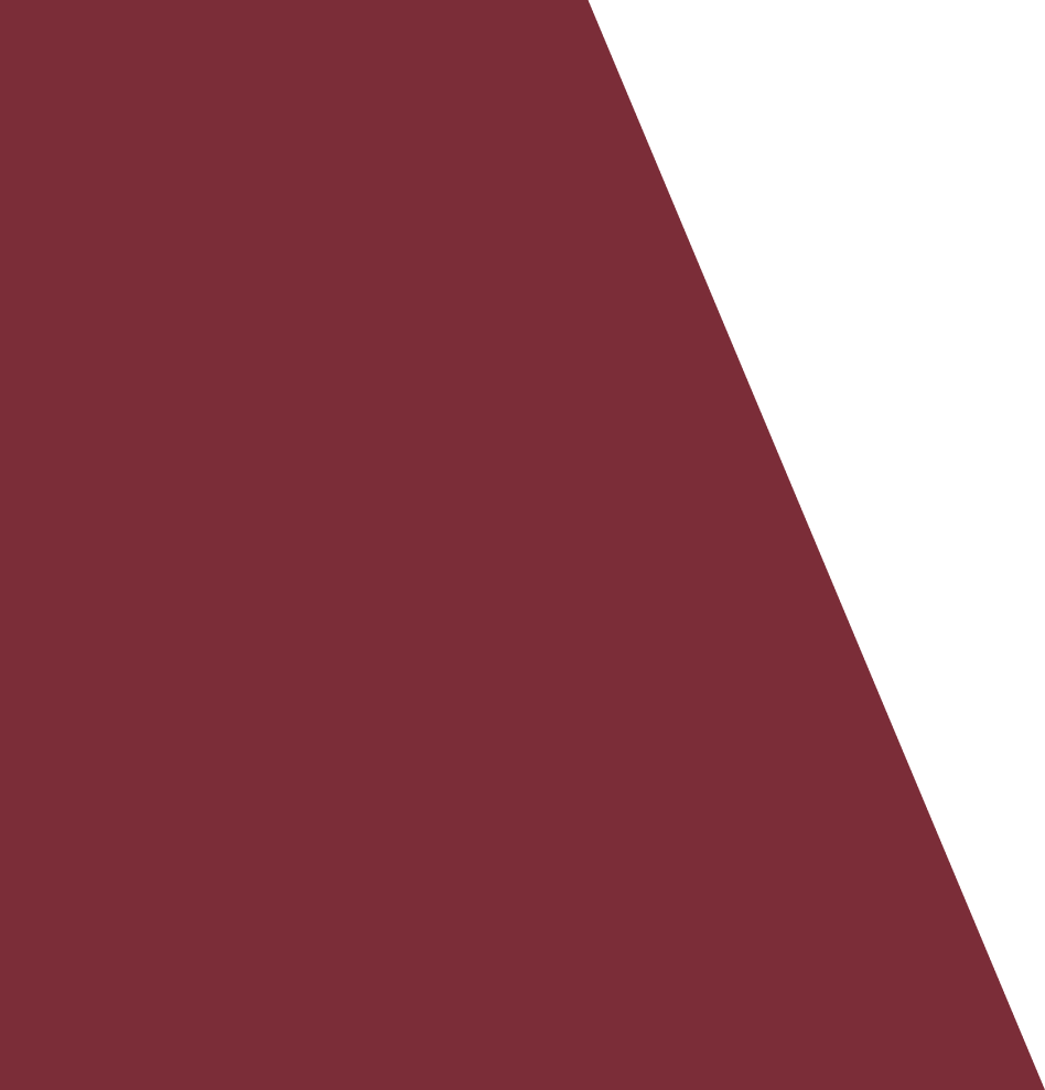 Vector 1